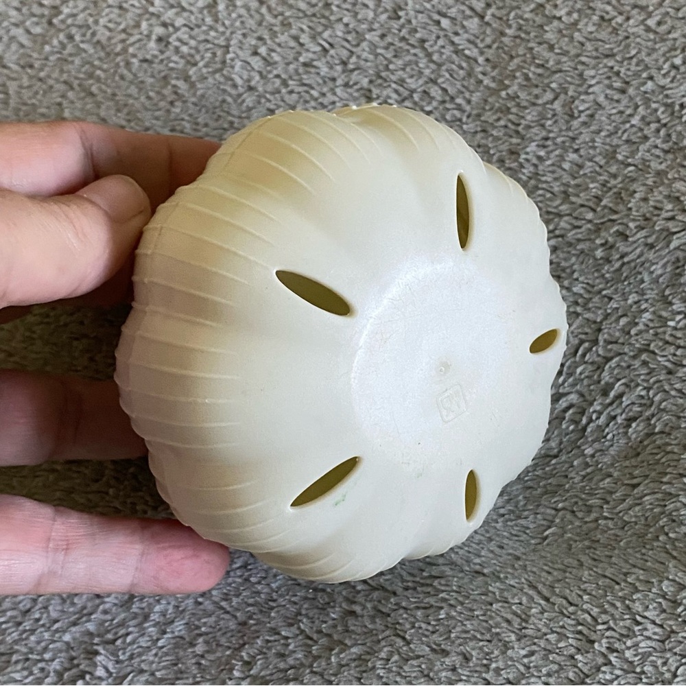 Garlic Keeper - Picture 4 of 4